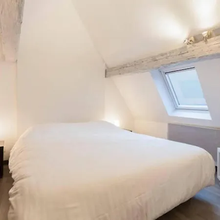 Apartman Historic Center - Petite Venise Colmar
