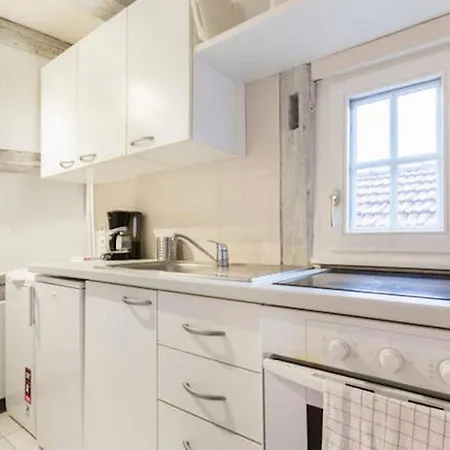 Apartman Historic Center - Petite Venise Colmar