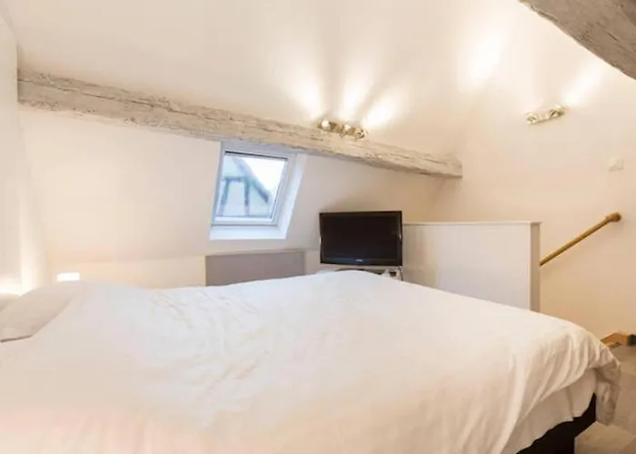 Historic Center - Petite Venise Appartamento Colmar