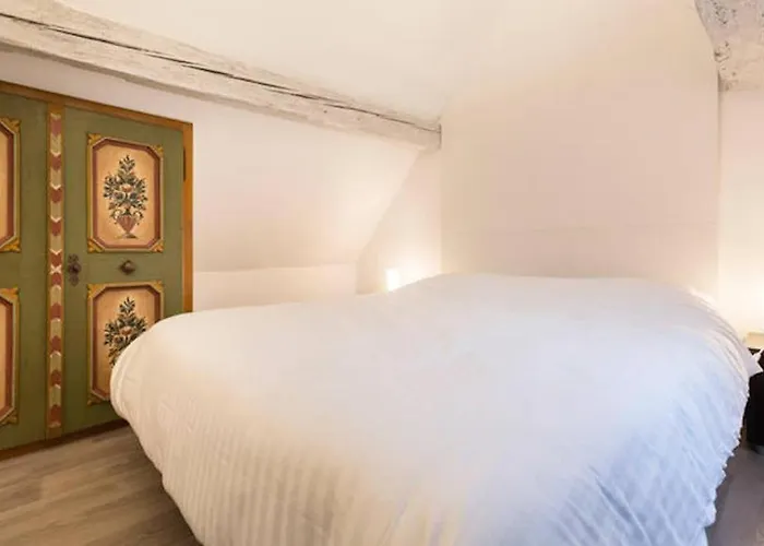 Appartamento Historic Center - Petite Venise Colmar