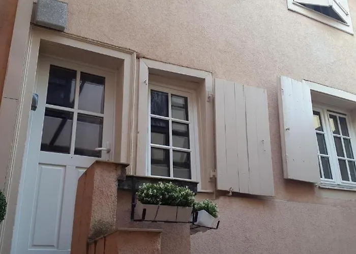 Historic Center - Petite Venise Appartamento Colmar