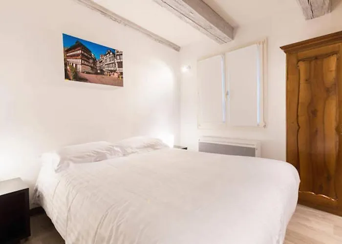 Appartamento Historic Center - Petite Venise Colmar
