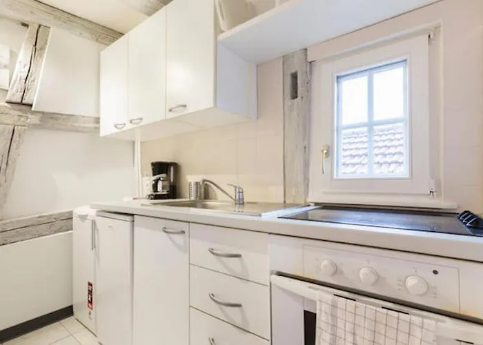 Appartamento Historic Center - Petite Venise Colmar