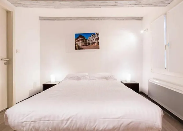 Appartamento Historic Center - Petite Venise Colmar